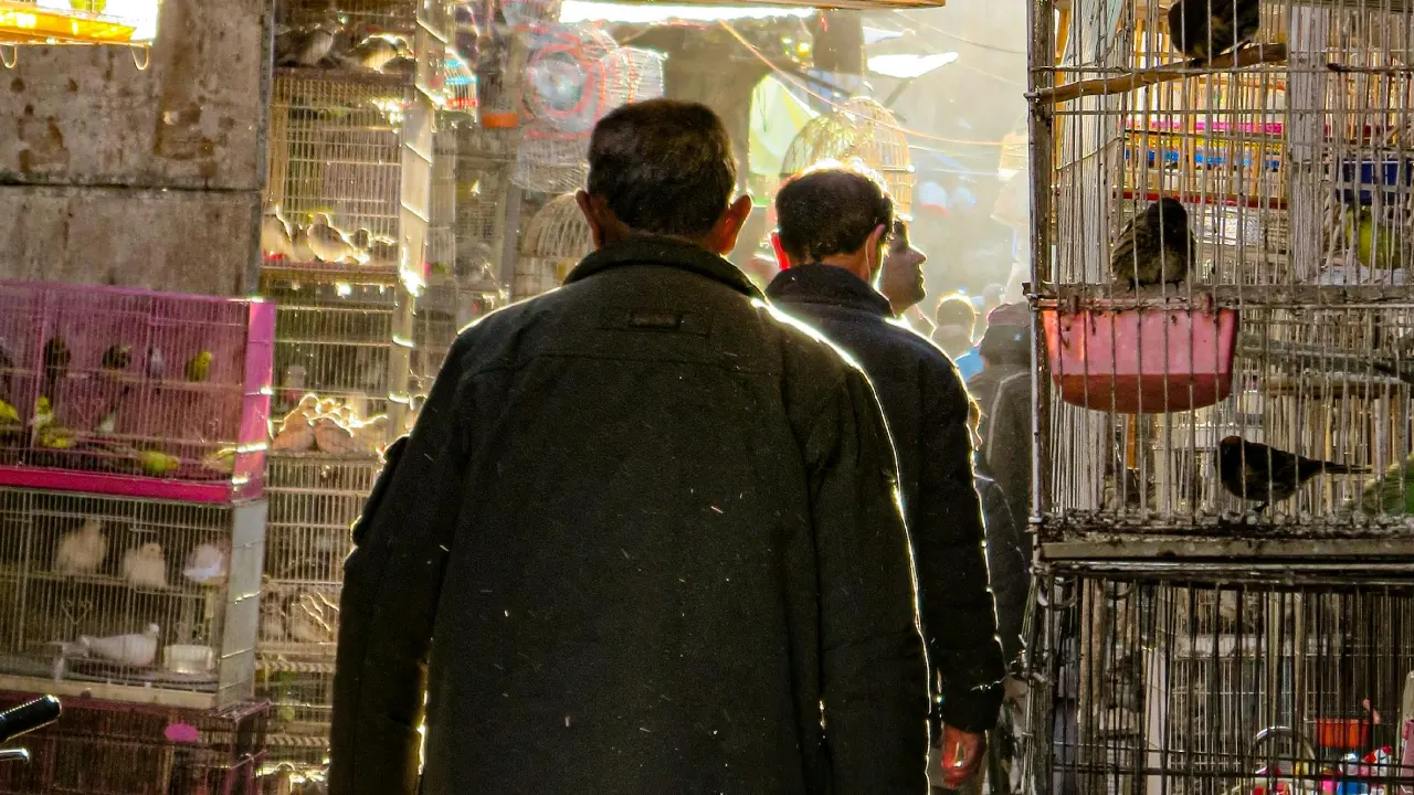 Almanya daha fazla Afganı, ülkesine göndermeyi planlıyor