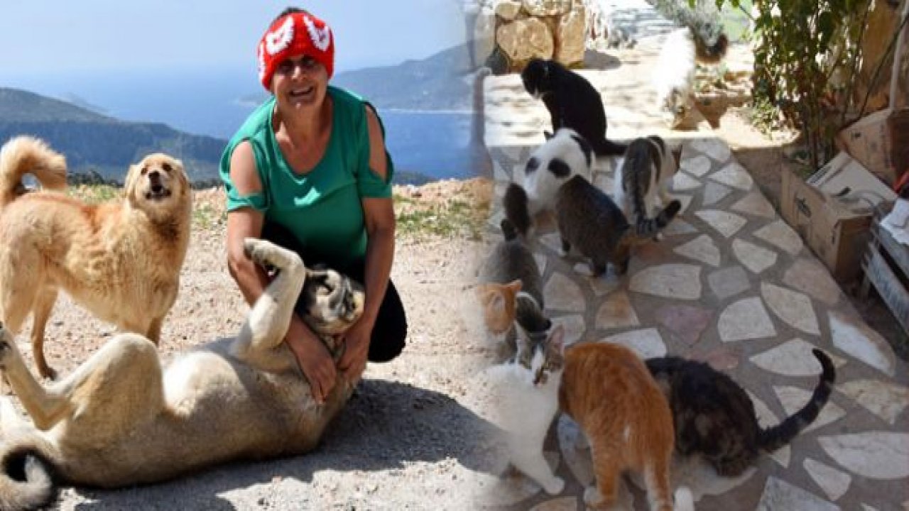167 kedi, 9 köpeğe bakıyor