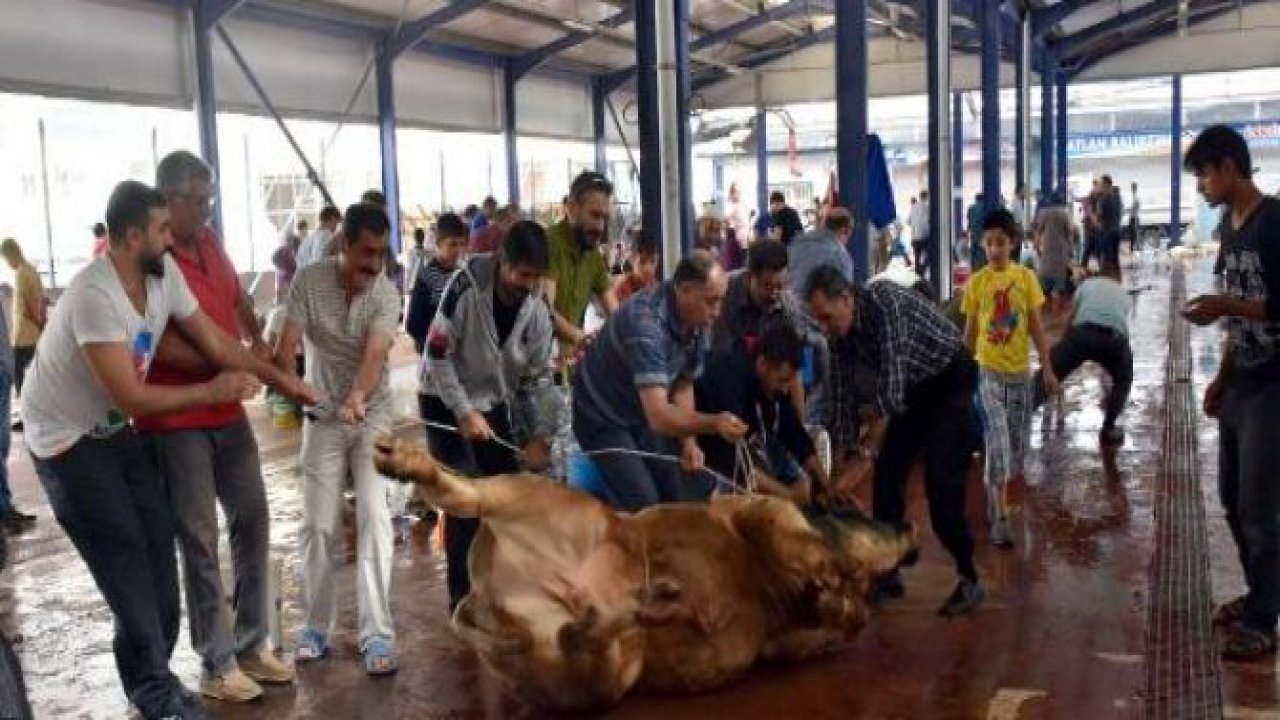Türkiye'den Kurban Bayramı manzaraları