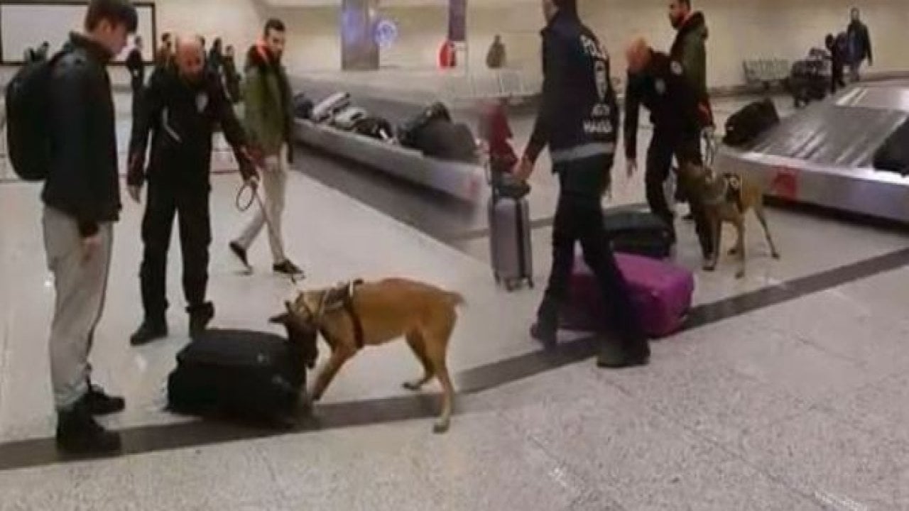 Hollandalı turistler köpekle arandı