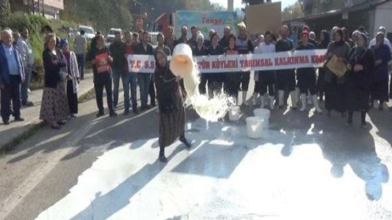 Süt üreticileri isyan etti: Yiyecek ekmeğimiz yok