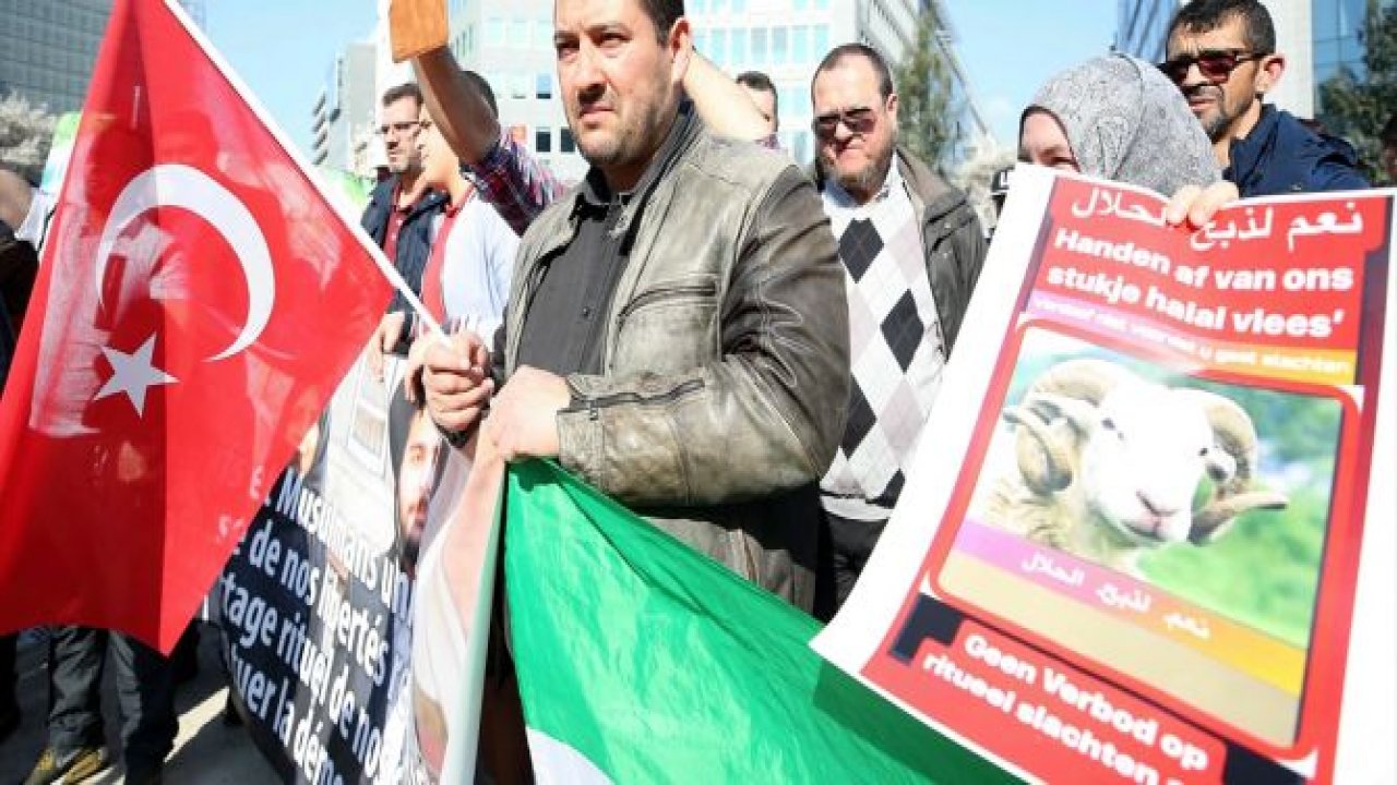 Belçika'da helal ve koşer kesim yasağı protestosu