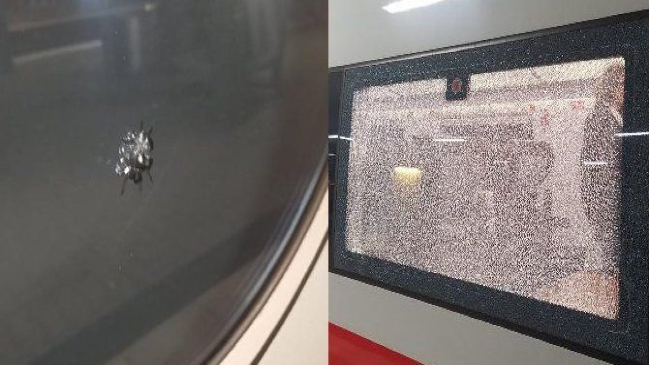 Hızlı trene Ladenburg yakınlarında silahla ateş açıldı