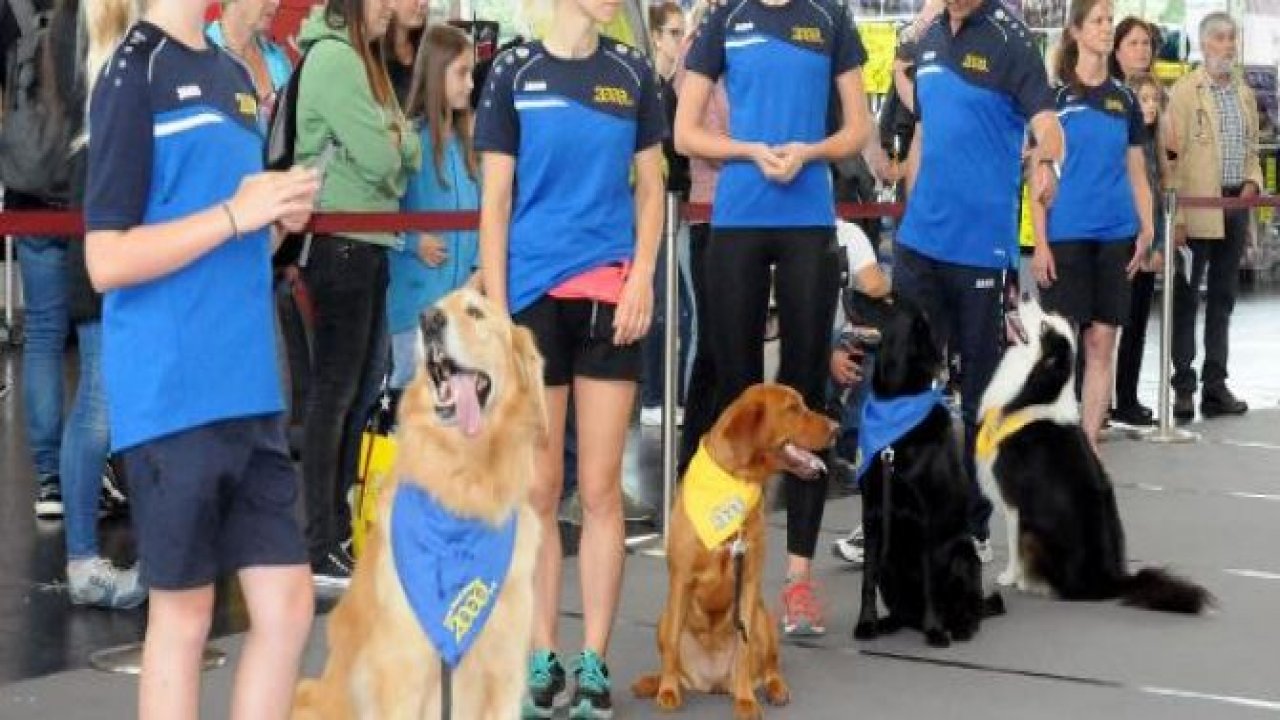 Almanya’da iki gün süren Köpek Fuarı'nda 4 bin köpek güzellikte yarıştı