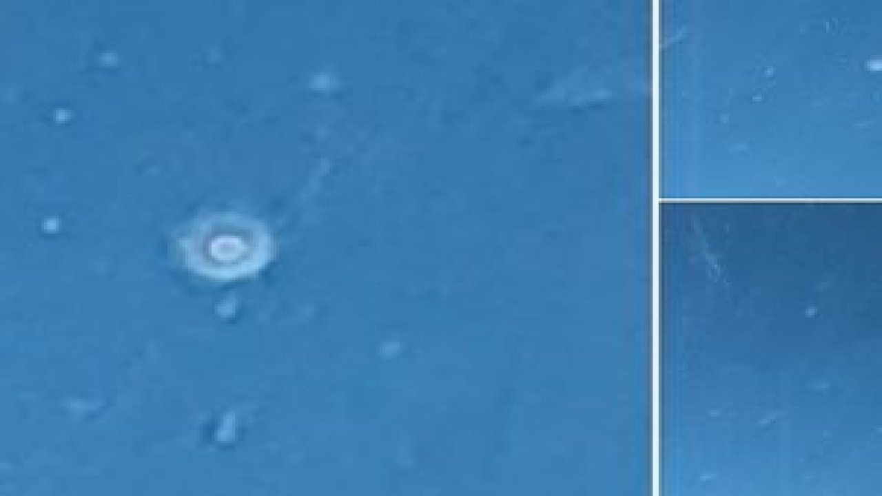 THY pilotu UFO gördü