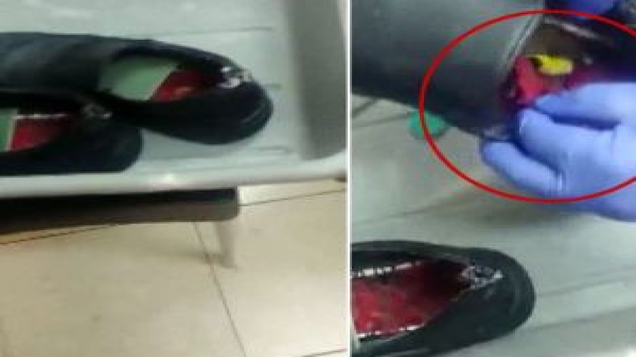 Gümrük polisi bile inanamadı