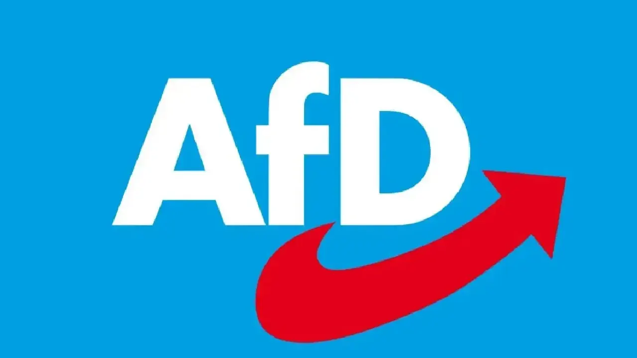 AfD’li iki vekile soruşturma yolu açıldı: Dokunulmazlıklar kaldırıldı