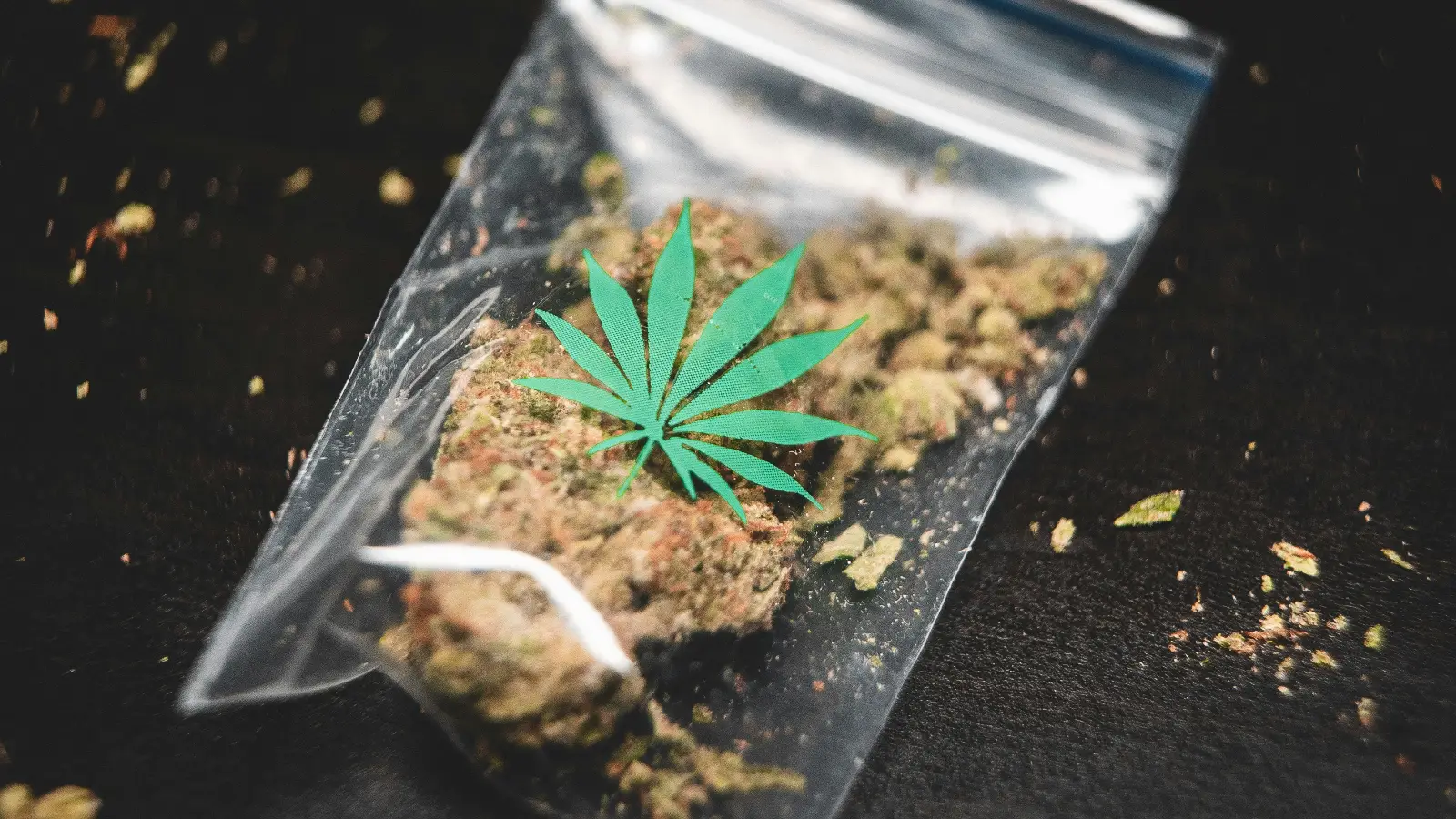 Berlin’de dev operasyon: Hindistan cevizleri arasında bir tondan fazla marihuana ele geçirildi