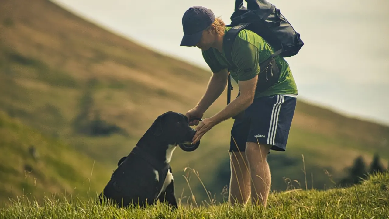 Almanya’da köpek beslemenin maliyeti rekor seviyede