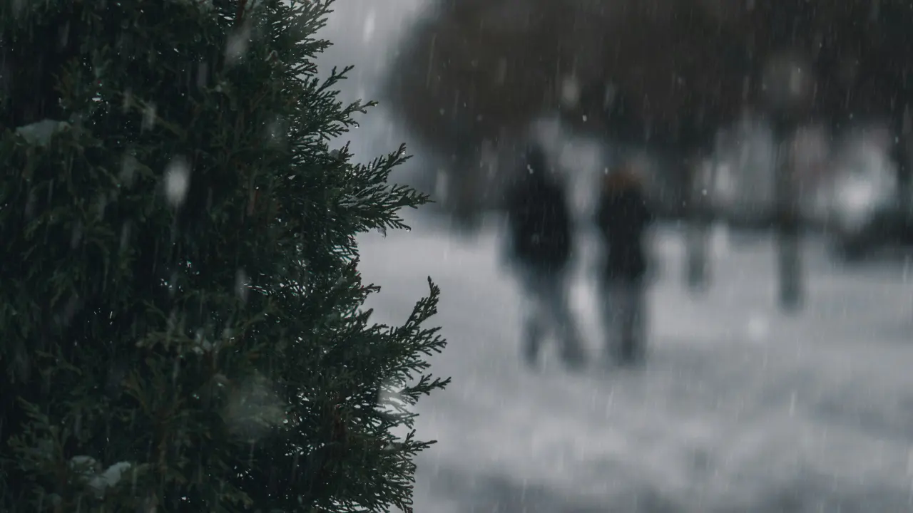 Meteoroloji uyardı: Almanya’da don ve fırtına geliyor