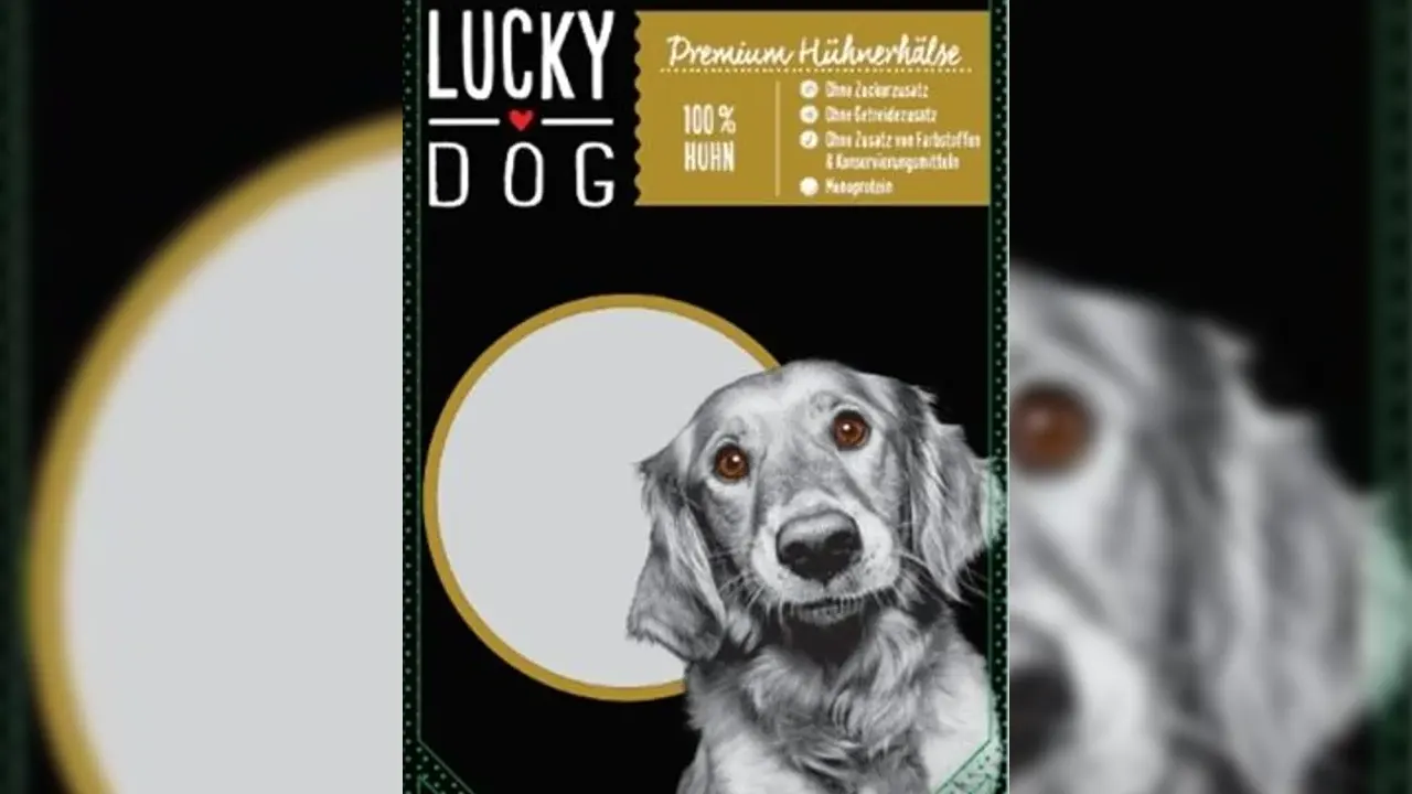 Almanya'da köpek sahipleri dikkat: Mamalarda salmonella tespit edildi
