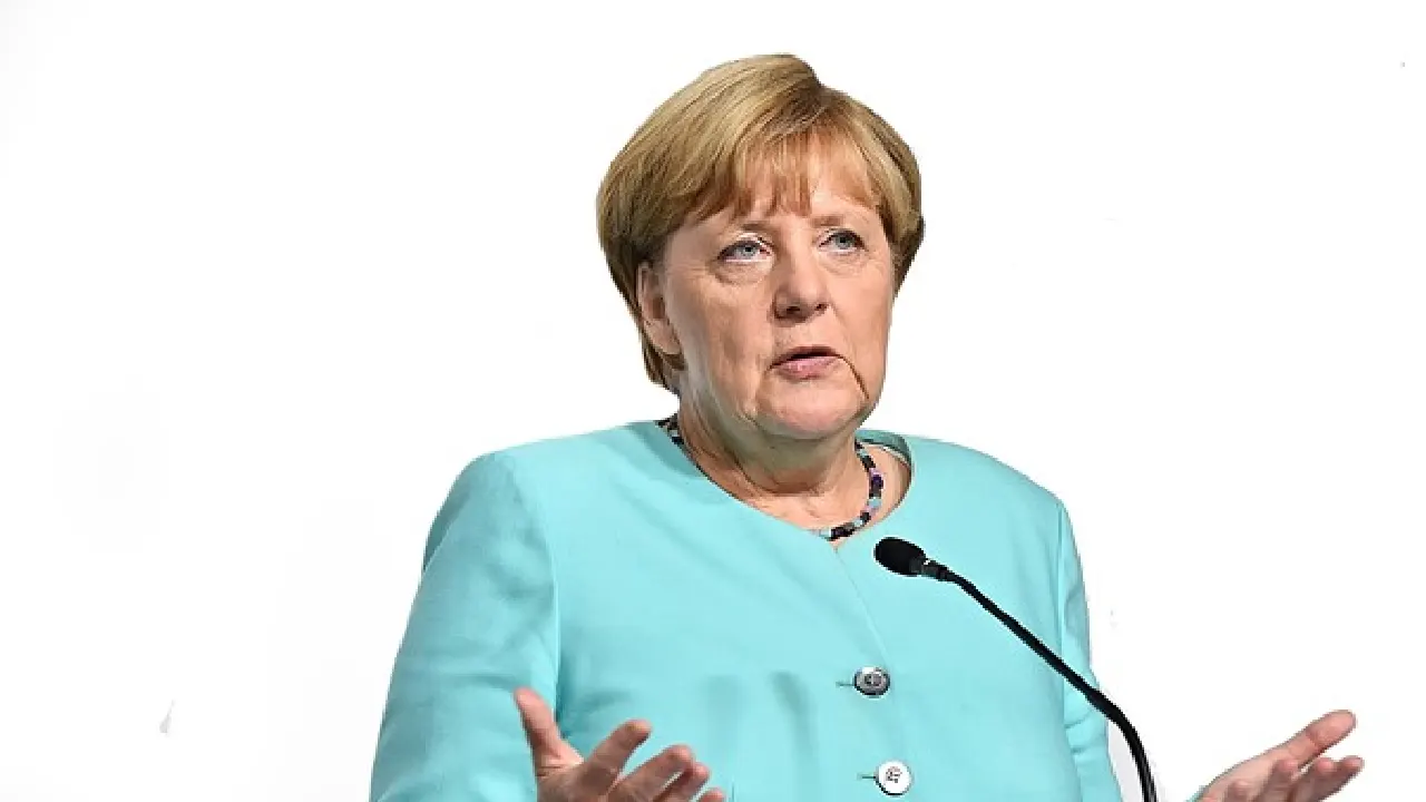 Epstein belgelerinden Merkel ve AfD de çıktı