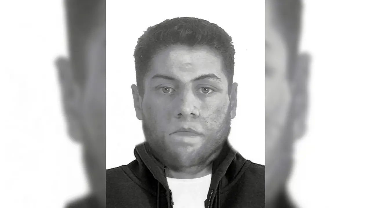 Almanya, seri tecavüz zanlısını arıyor, İstanbul'dan gelen bilgi umut oldu!