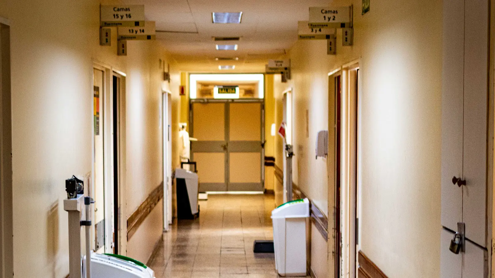 Berlin'de aşiret üyesi abisini psikiyatri kliniğinden kaçırmaya çalıştı