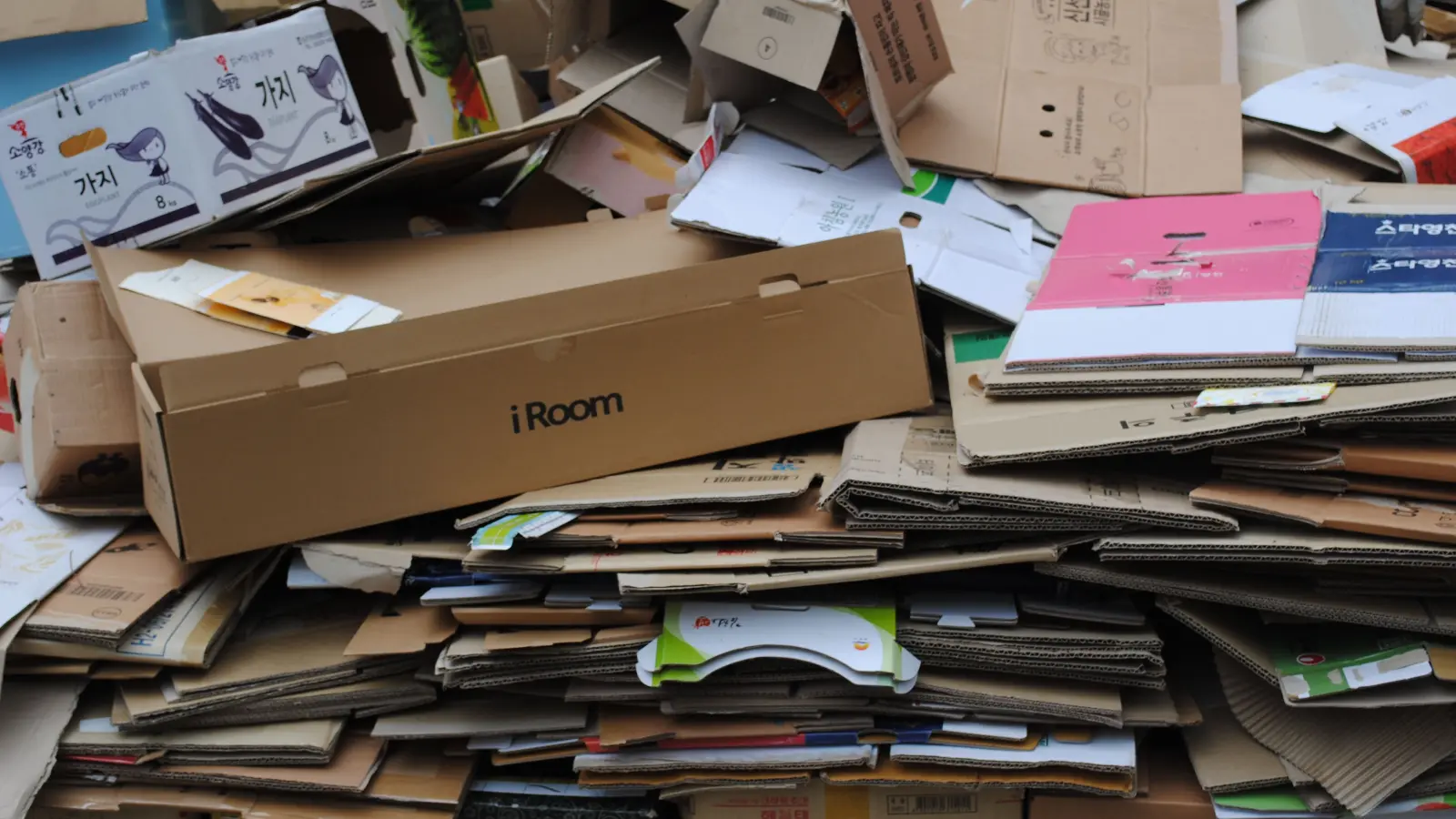 Almanya’da yeni haşere hızla yayılıyor, paketlerle evlere giriyor