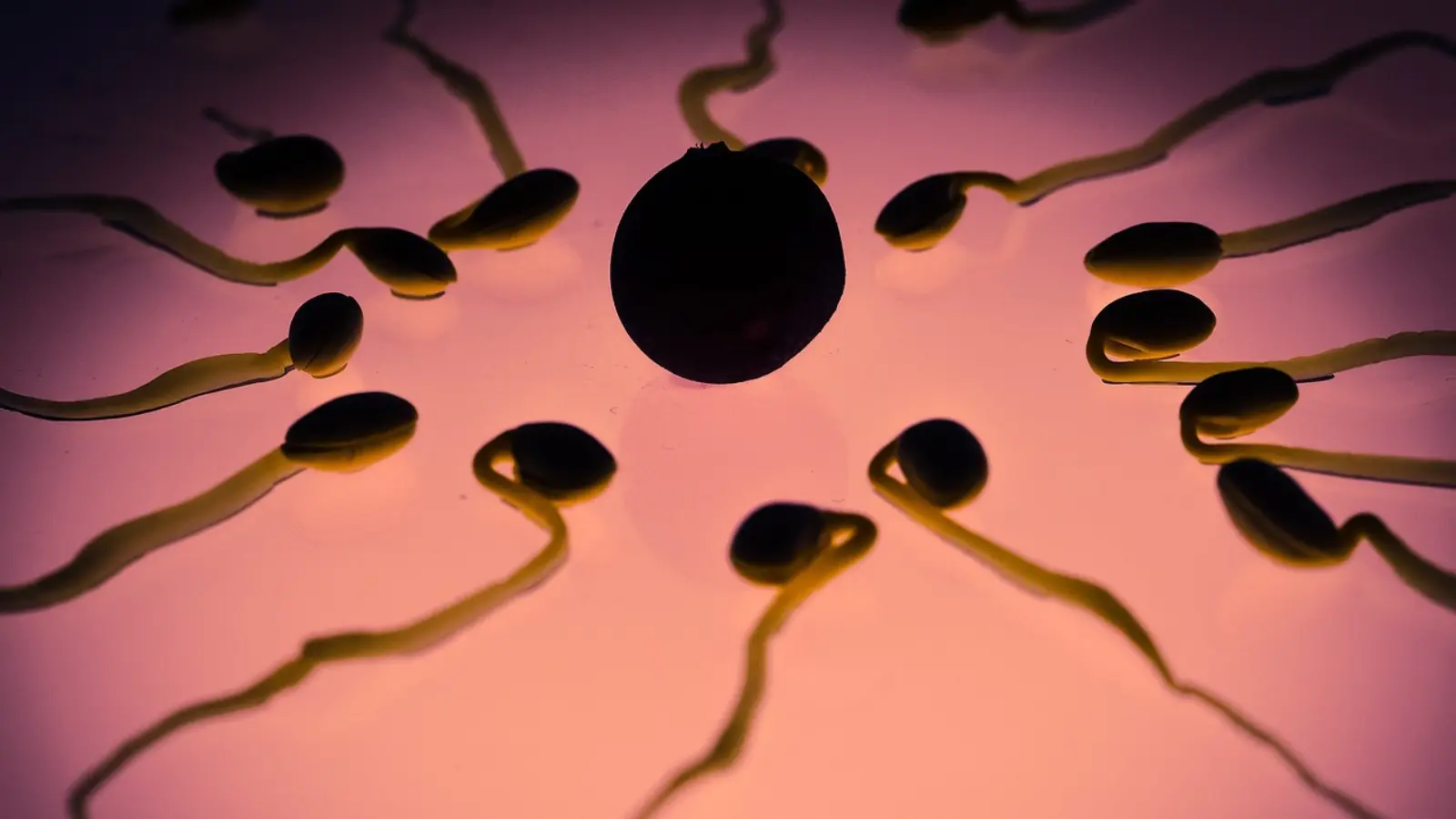 Almanya’da sıra dışı dolandırıcılık: Sperm bağışı için servet vaat ettiler