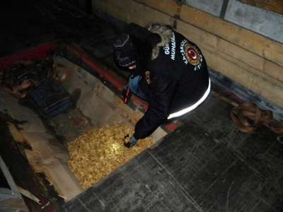 Hamzabeyli’de 235 kilo kaçak ceviz ele geçti