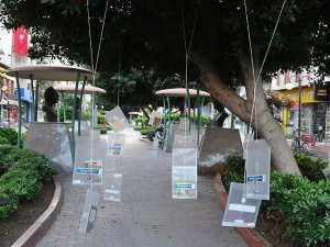 Ağaçlara asılan kitaplara yoğun ilgi