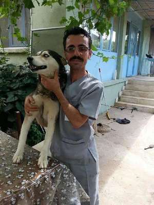 Hasta bakıcı kazada öldü