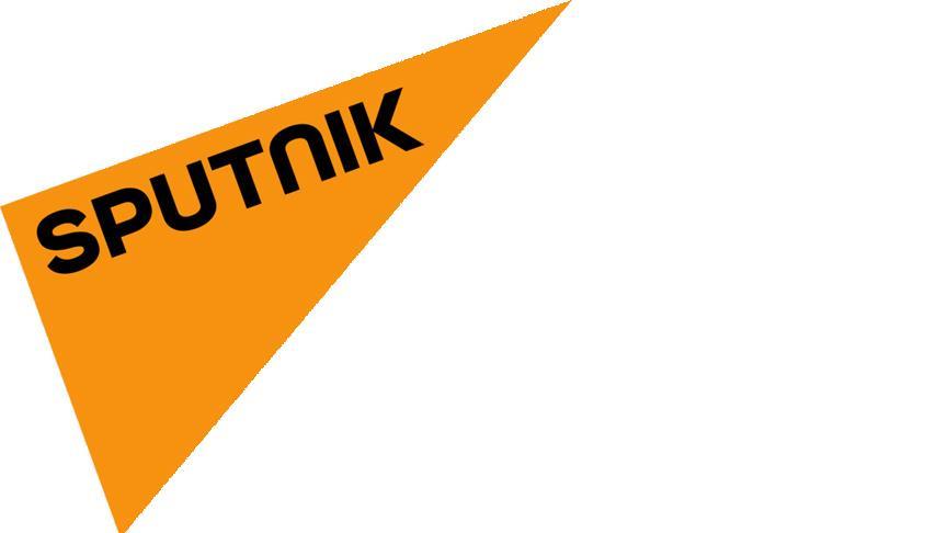 Sputnik ve DİHA'ya erişim engellendi
