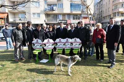 Manisa'da, sokak hayvanları için 100 noktaya beslenme kabı