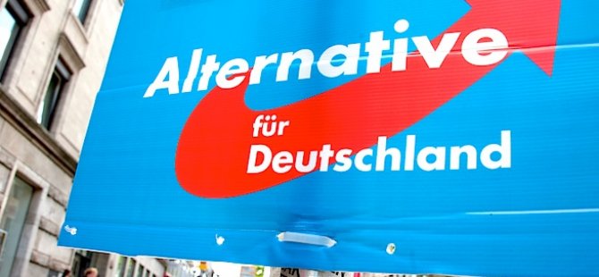 AfD'li siyasetçiden göçmenlere hakaret