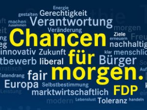 FDP: Düşündüğümüz Avrupa'da Türkler yok