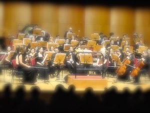 Türkiye, Dresdner'deki konser projesini engelledi
