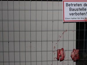 Avusturya'da camiye 'domuzlu' saldırı