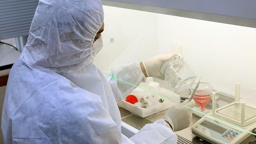 Almanya'da kuş gribi hızla yayılıyor