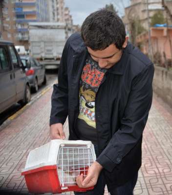 Diyarbakır'da 20 gündür evde mahsur kalan kedi kurtarıldı
