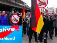 AfD'nin ırkçı olduğu kabul edildi