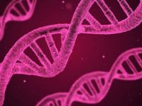 Tarihi yeniden yazan antik DNA bulundu