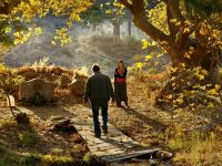 Türkiye'yi Ceylan'ın son filmi temsil edecek
