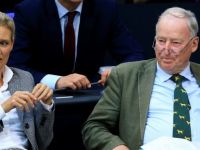 AfD oyları SPD'yi geçti