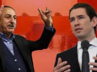 'Bozkurt yapanın ülkenizde yeri yok'