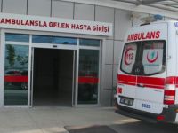 Gurbetçi memleketinde gurbetçiyi vurdu