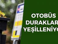 Hollanda’da otobüs durakları yeşillendi