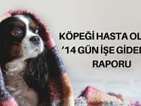 Köpeği hasta olana ‘işe gidemez’ raporu