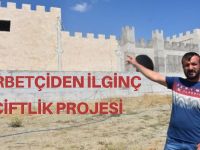 Gurbetçiden ilginç çiftlik projesi