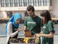 'Midye dolmaların yüzde 91’inde plastik var'