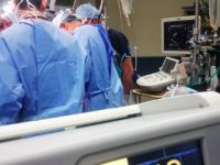 Avusturya'da vahşet: Ailesini yok etti