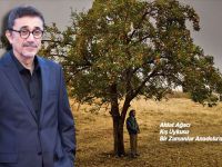Nuri Bilge Ceylan'ın filmleri Roma ve Viyana'da gösterilecek