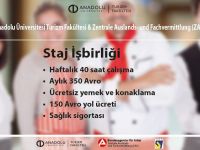 Almanya’da staj imkanı