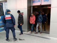 Almanya diye Tekirdağ’a bıraktılar