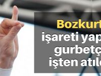 "Bozkurt" işareti yapan gurbetçi işten atıldı