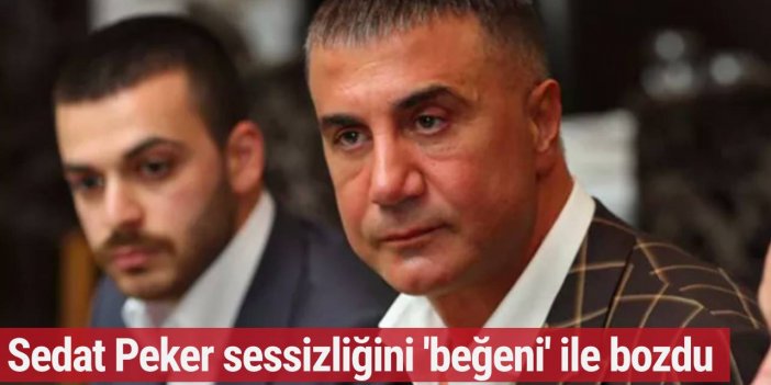 Sedat Peker'den uzun süre sonra Twitter'da ilk etkileşim