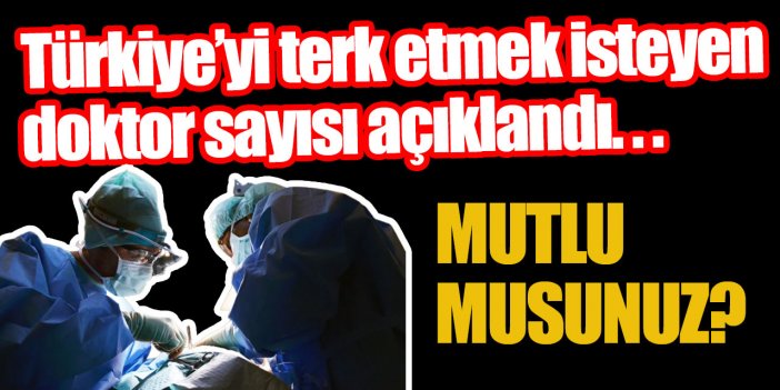 Bir ayda rekor başvuru... Hepsi Almanya'ya kaçıyor!