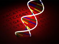 Eski Belçika kralına DNA testi şoku