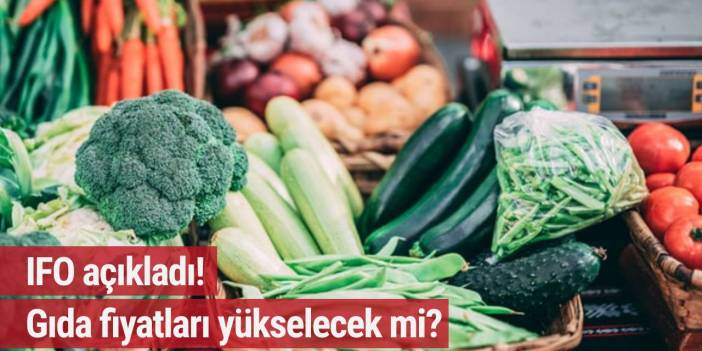 IFO açıkladı! Almanya'da gıda fiyatları yükselecek mi?